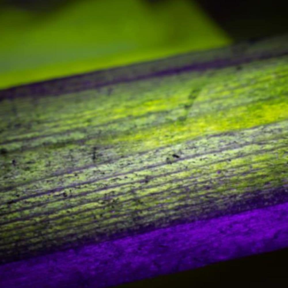 Admanstars Innovative Solutions